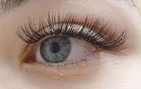 Ipswich Eyelash Extensions image 1